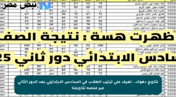 نتائج دهوك.. تعرف على ترتيب الطلاب في السادس الابتدائي بعد الدور الثاني عبر منصة نتائجنا